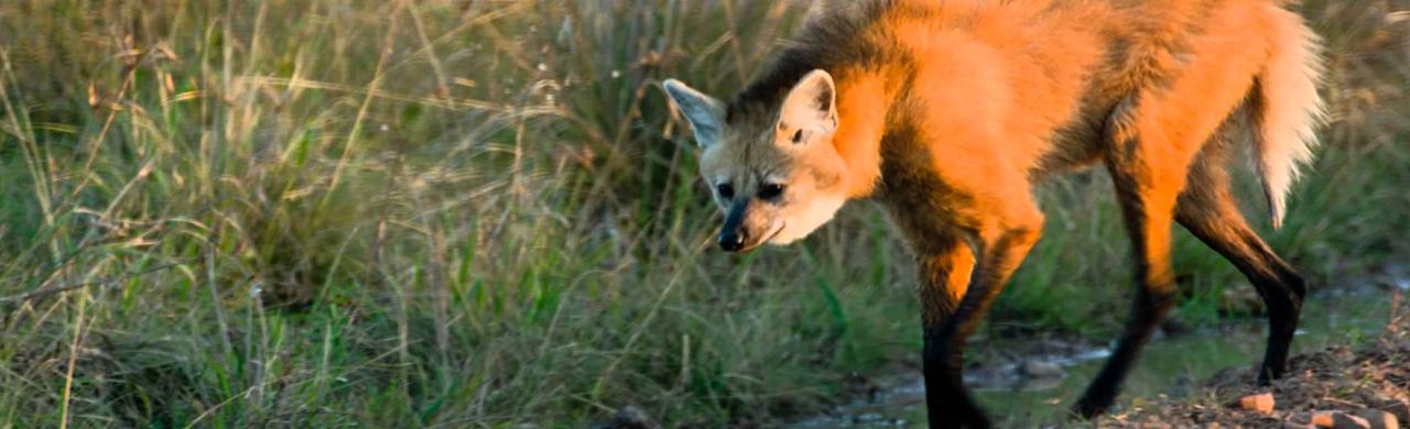 El Aguar Guaz Natura